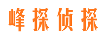 大关寻人公司